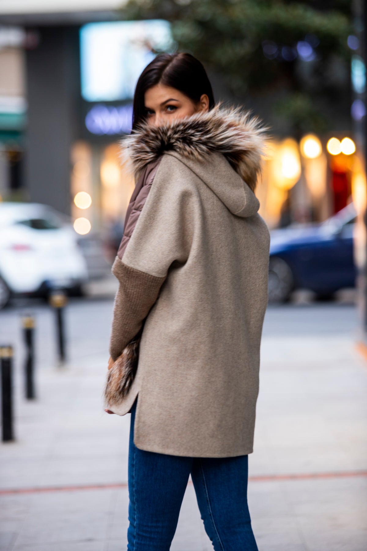 2226 Arjantin Fox